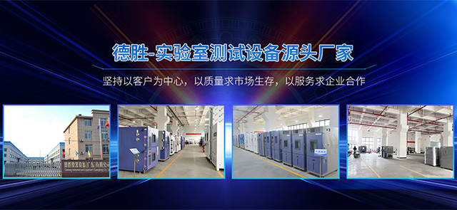 德胜仪器设备（广东）有限公司